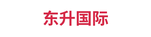 东升国际